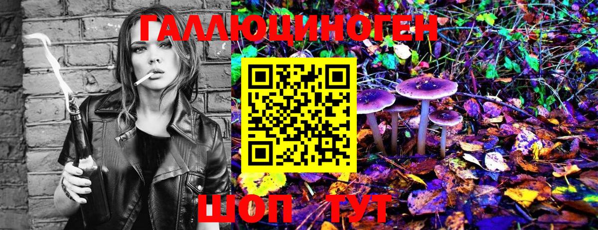 Псилоцибиновые грибы Psilocybe Костомукша